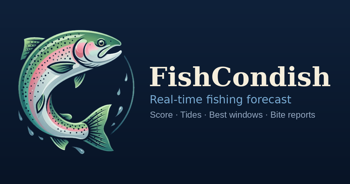 Sandy Hook, NJ Fishing Report & Conditions — FishCondish